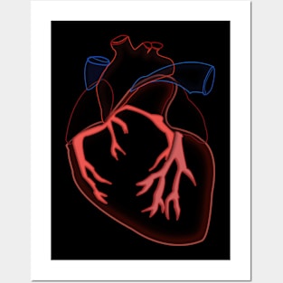 human heart Posters and Art